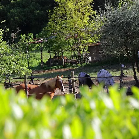 Casa Verniano Farm stay