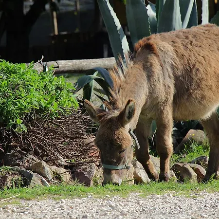 Casa Verniano Farm stay