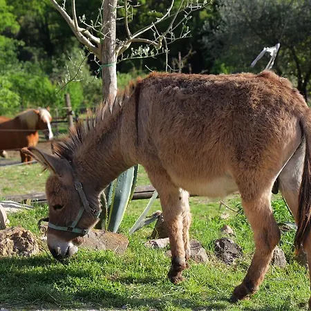 Farm stay Casa Verniano